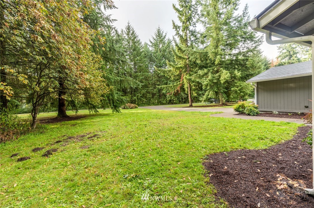 19129 Denmark Street Southwest Rochester, WA 98579 - Photo 16 of 21 a view of green field with trees in the background