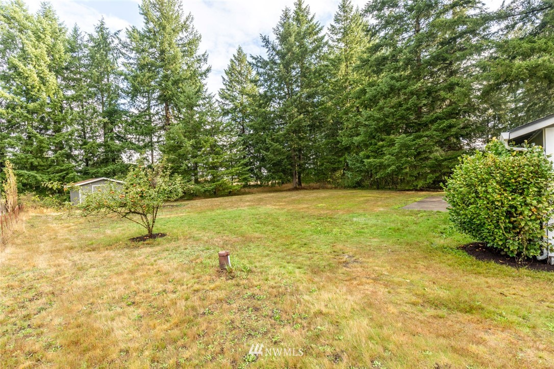 19129 Denmark Street Southwest Rochester, WA 98579 - Photo 19 of 21 a view of yard with large trees