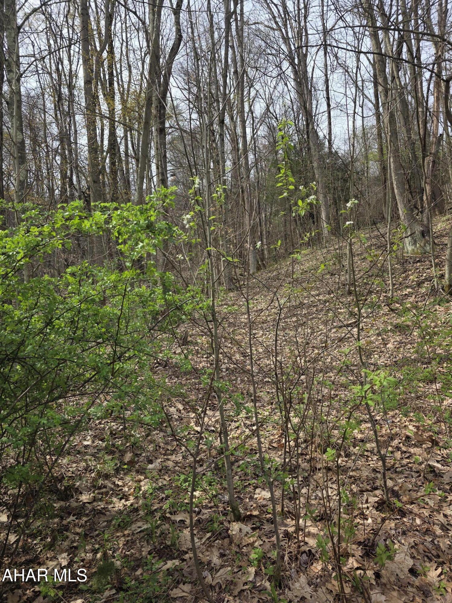 0 Sylvis Road Westover, PA 16692 - Photo 8 of 8