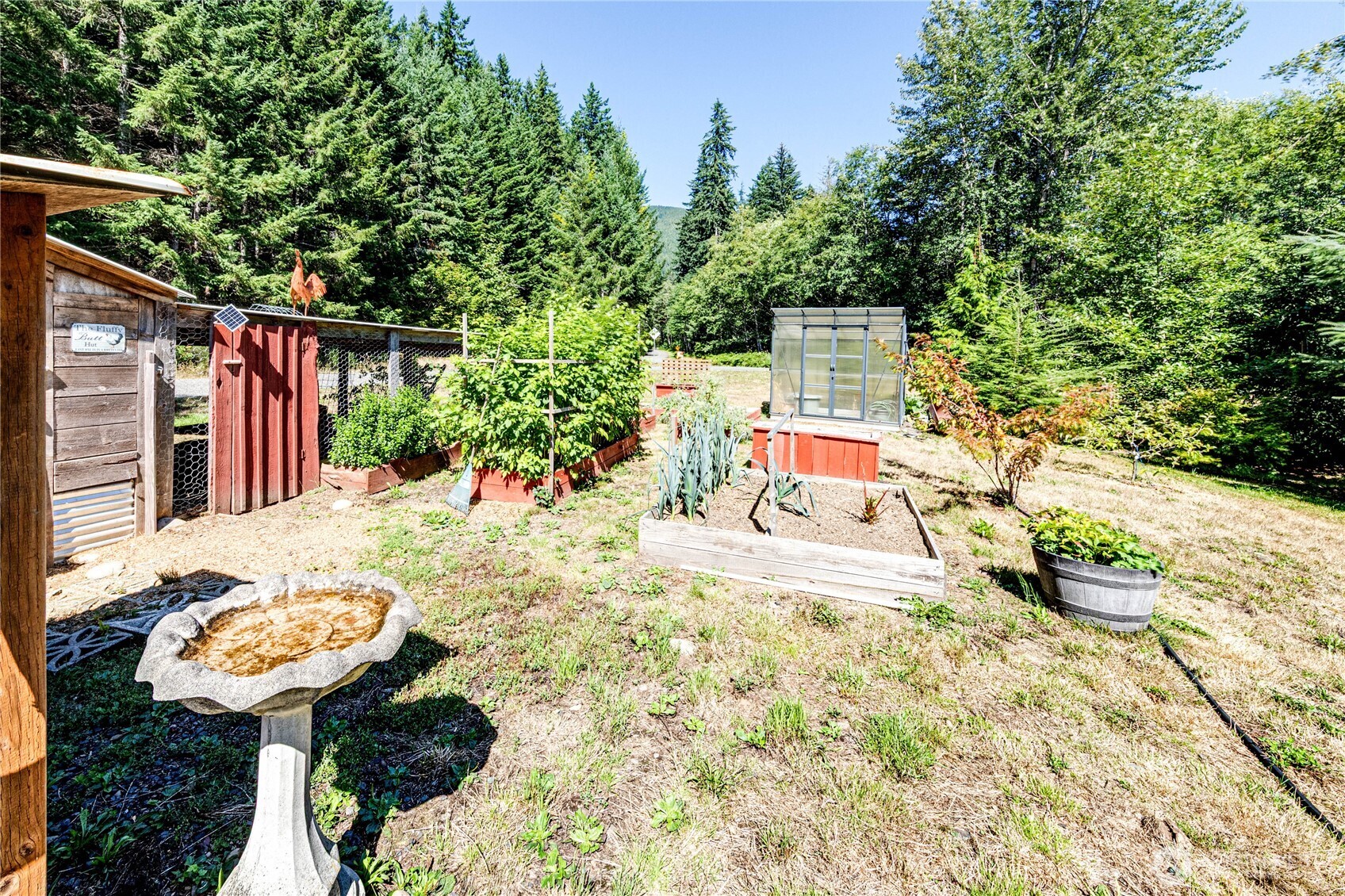51 Sunflower Road Port Angeles, WA 98363 - Photo 27 of 40 a view of a backyard with plants
