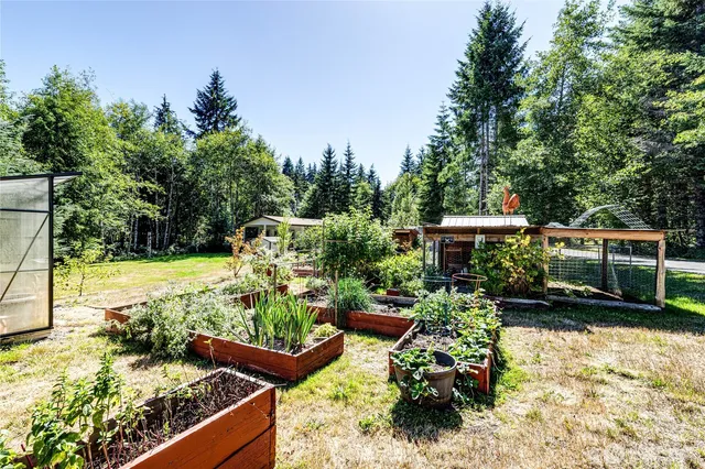 a view of a backyard with plants