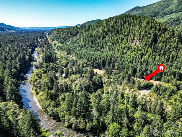 a view of a garden with a lot of plants