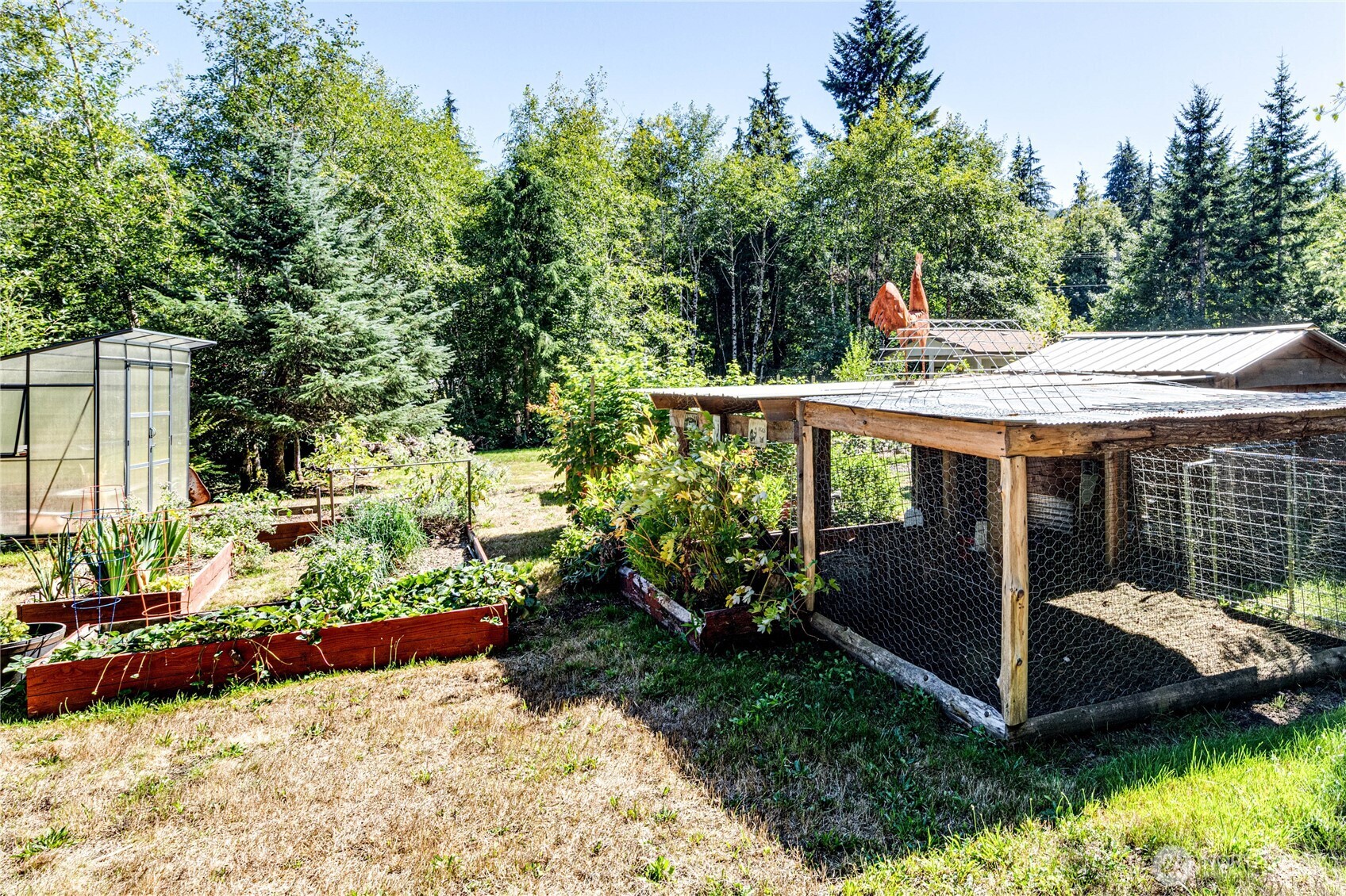 51 Sunflower Road Port Angeles, WA 98363 - Photo 31 of 40 a view of a backyard with plants