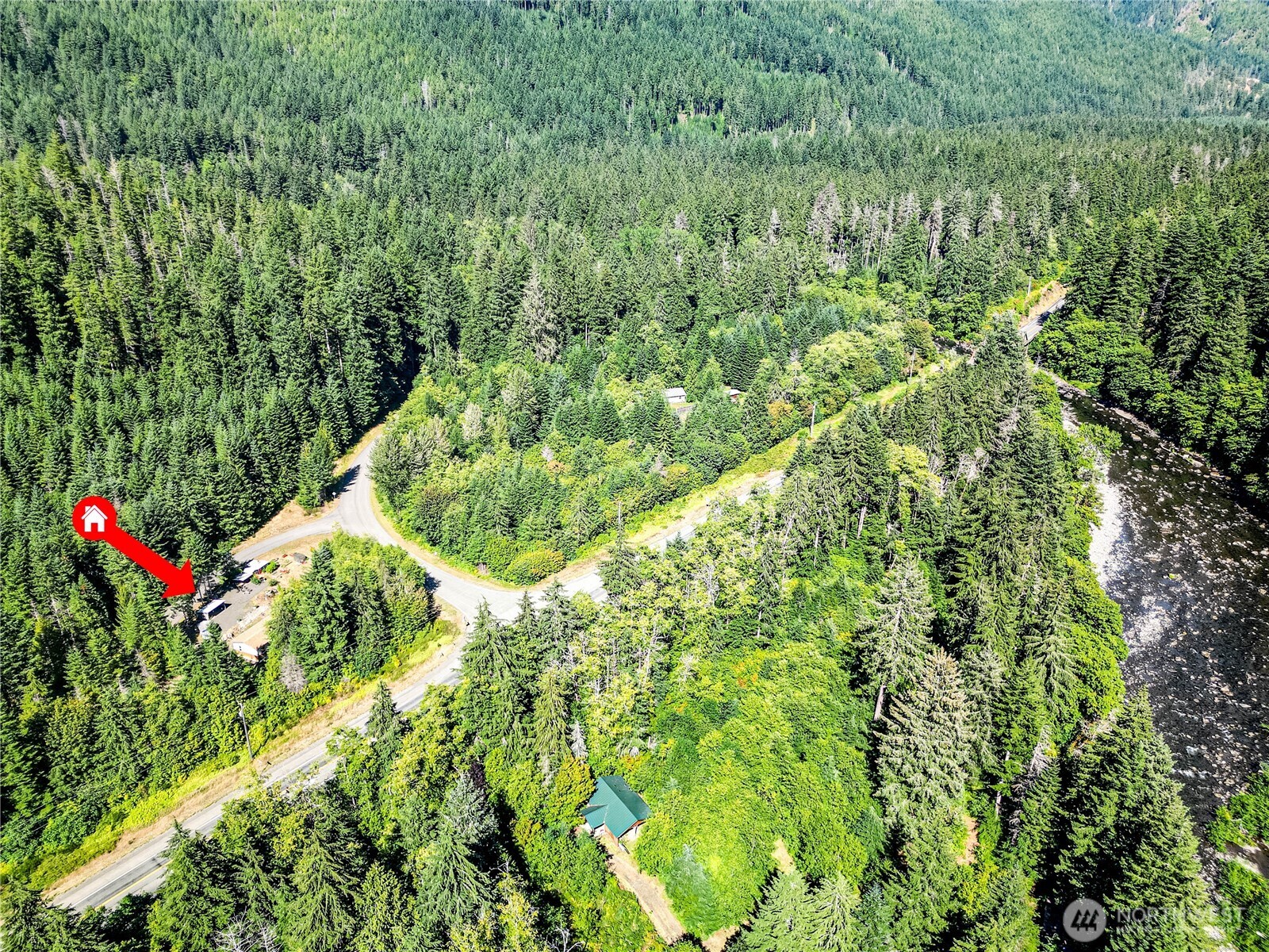 51 Sunflower Road Port Angeles, WA 98363 - Photo 40 of 40 a backyard of a house with lots of green space and plants