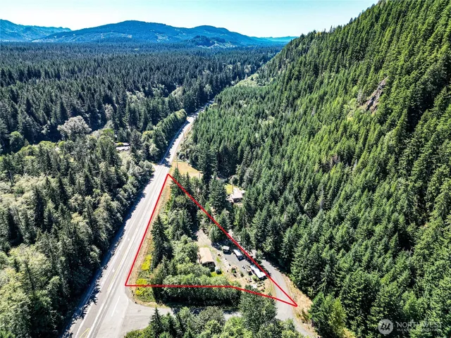 a view of a backyard with plants and a wooden fence