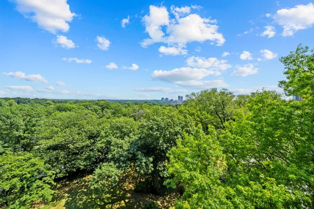 a view of a bunch of trees