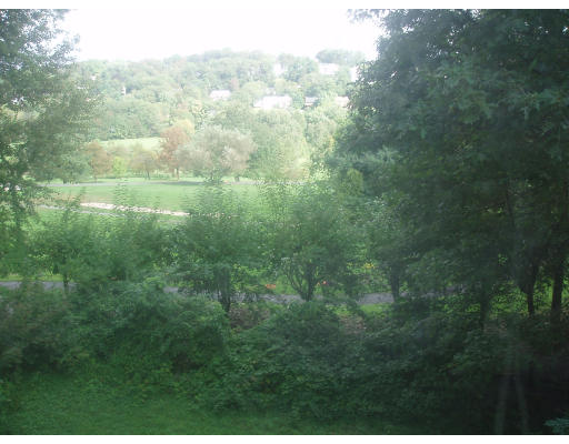 135 Algonquin Road Newton, MA 02467 - Photo 9 of 10