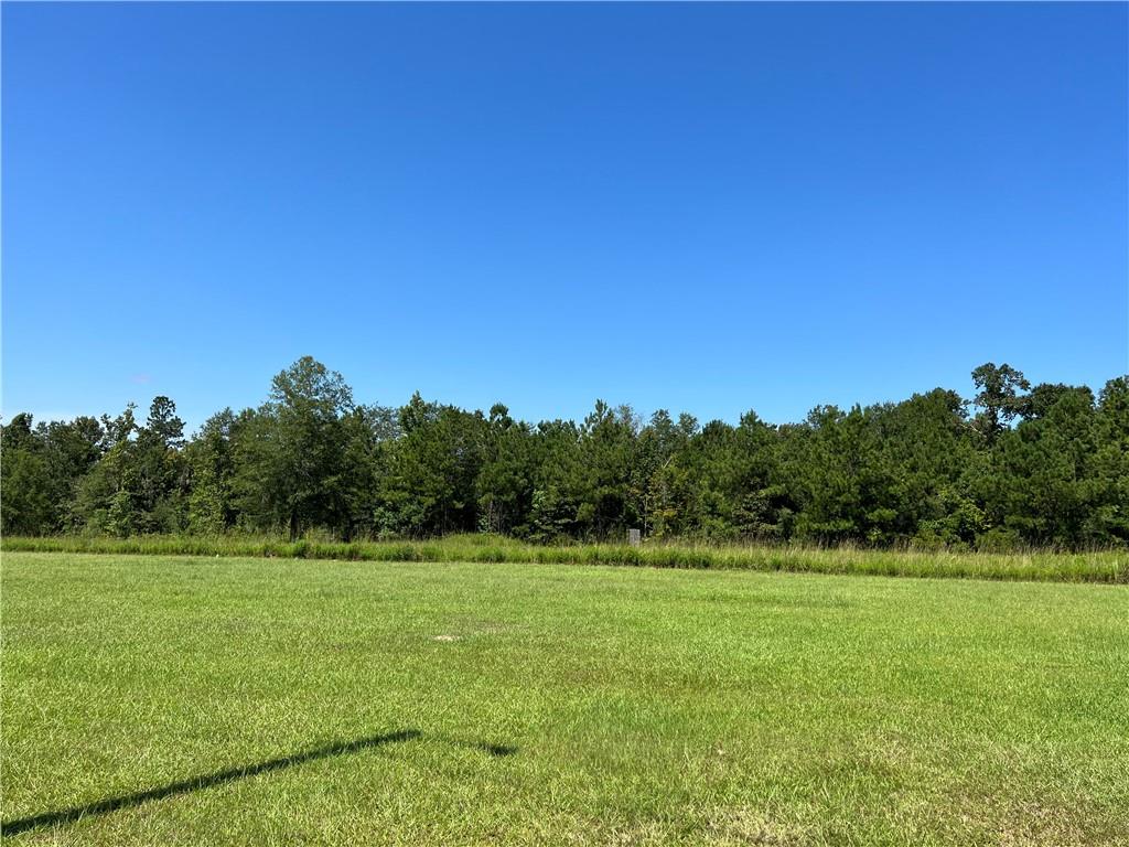 352 Griffin Road Deridder, LA 70634 - Photo 5 of 9