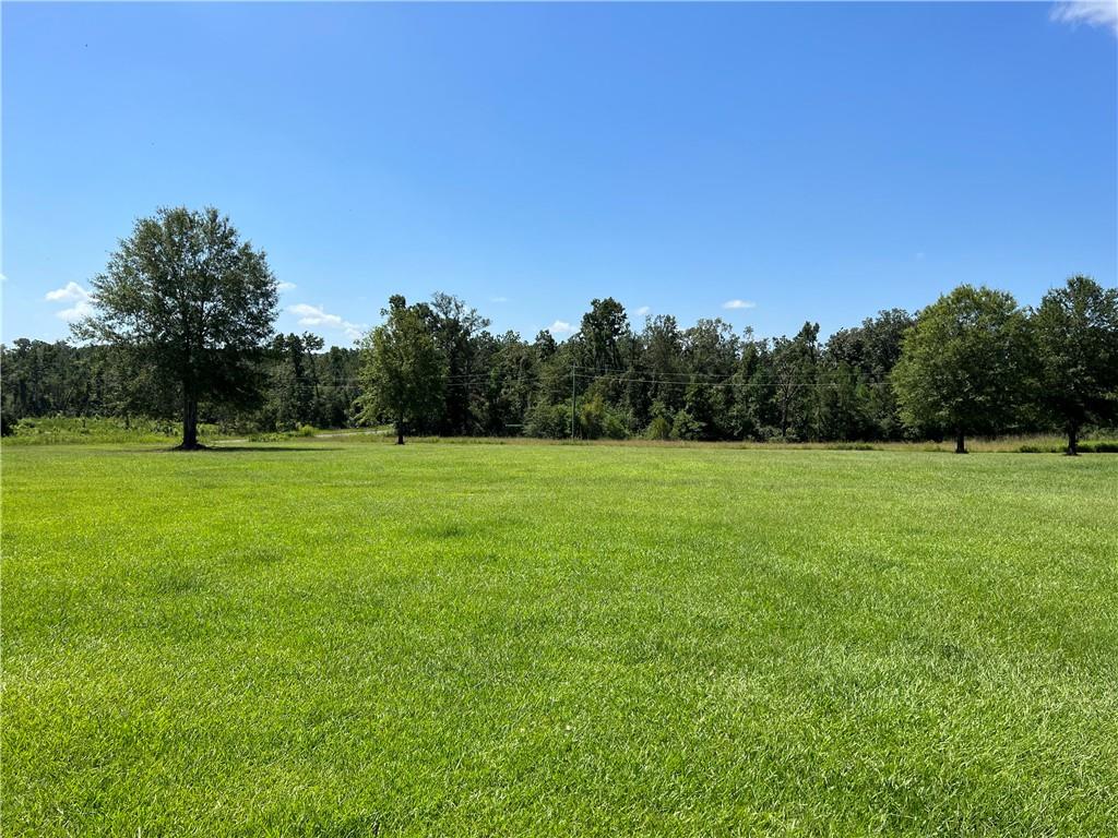 352 Griffin Road Deridder, LA 70634 - Photo 6 of 9