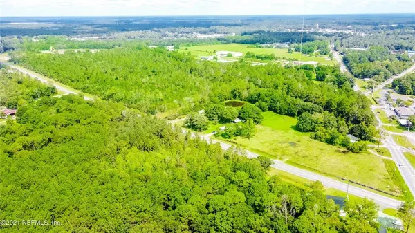 a view of a lush green forest with trees in the background