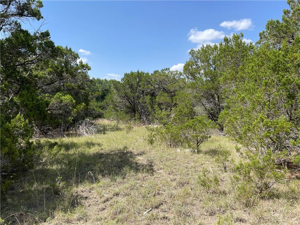 271 Ridgeline Road Leander, TX 78641 - Photo 13 of 20 a view of a yard with a tree