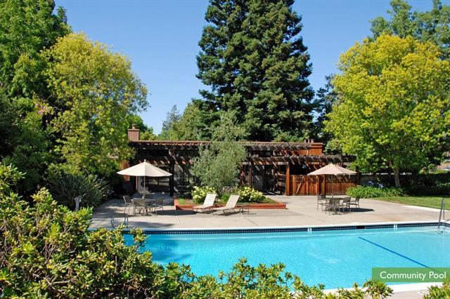 1 Farm Road Los Altos, CA 94024 - Photo 22 of 25 a view of a swimming pool with a patio and a garden