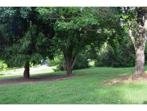 120 Hammons Road Watauga, TN 37694 - Photo 7 of 12 Photo 7