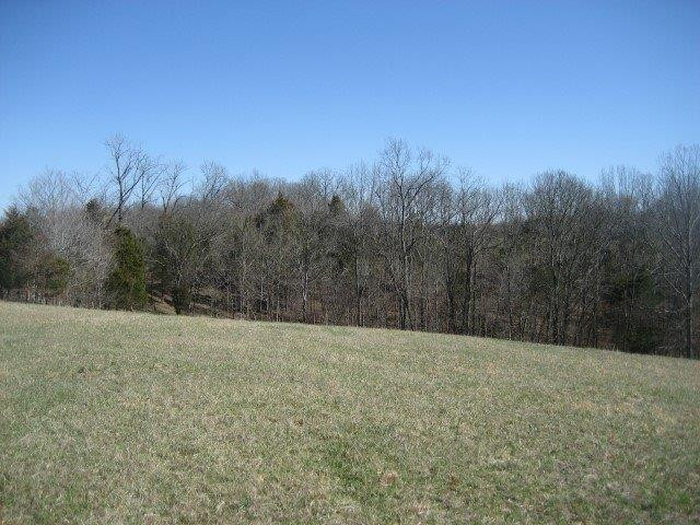 7890 Timber Creek Road Lawrenceburg, KY 40342 - Photo 8 of 23 Photo 8