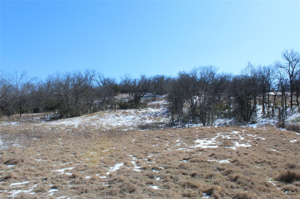 a view of a yard with trees in the background