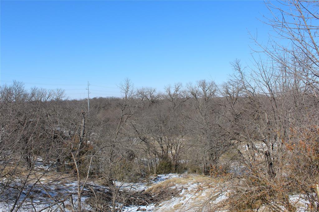 2585 Underwood Road Denton, TX 76207 - Photo 11 of 19 a view of a dry yard with trees in the background
