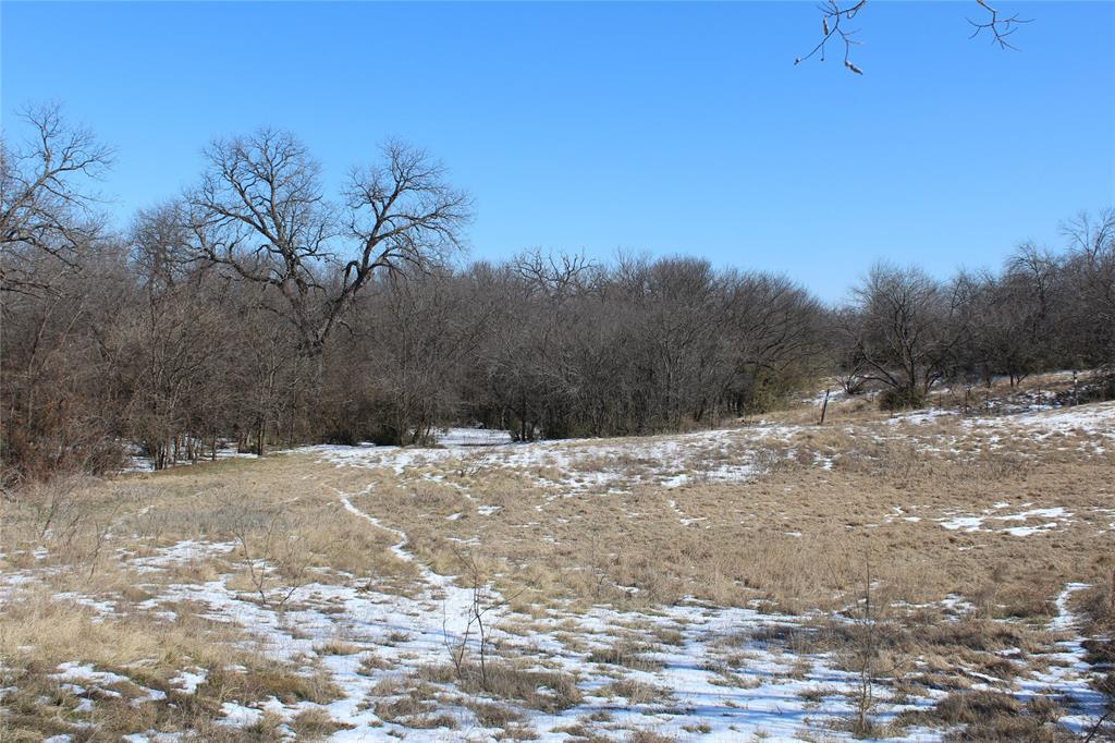 2585 Underwood Road Denton, TX 76207 - Photo 6 of 19 a view of a yard with a tree
