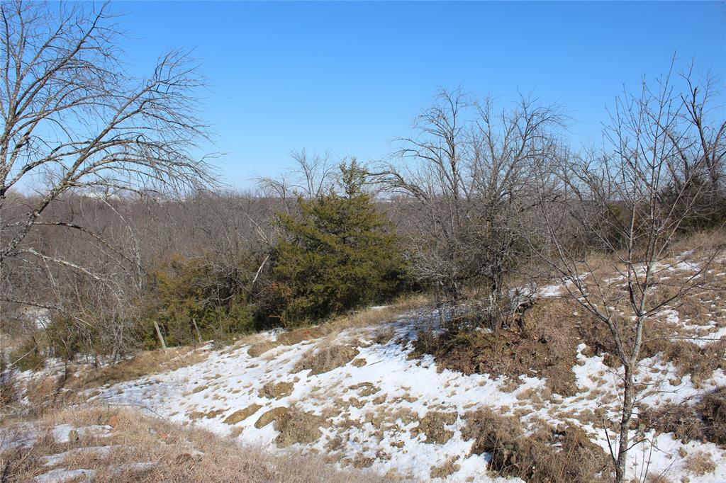2585 Underwood Road Denton, TX 76207 - Photo 10 of 19 a view of a yard covered with snow in outdoor space