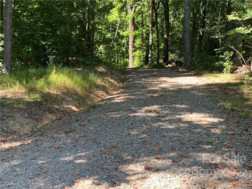 99999 Jerico Ridge Road Fletcher, NC 28732 - Photo 13 of 13 a view of a yard with a tree