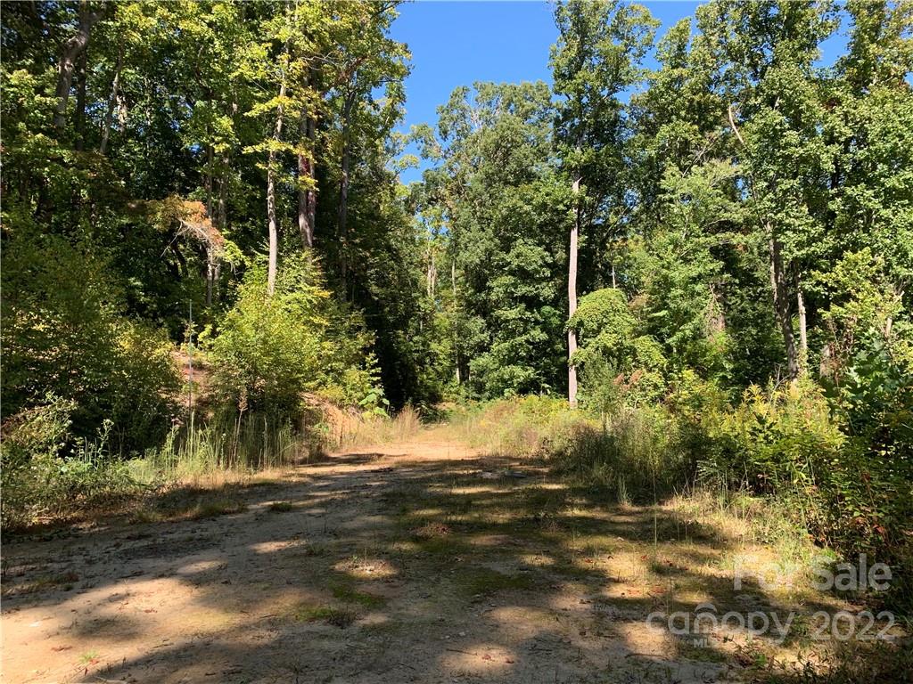 99999 Jerico Ridge Road Fletcher, NC 28732 - Photo 2 of 13 a view of a yard with plants and trees