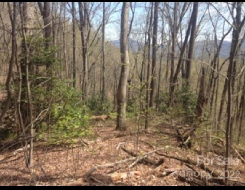 99999 Jerico Ridge Road Fletcher, NC 28732 - Photo 4 of 13 a view of a yard with trees
