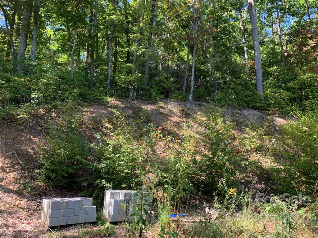 99999 Jerico Ridge Road Fletcher, NC 28732 - Photo 6 of 13 a view of a outdoor space with a trees
