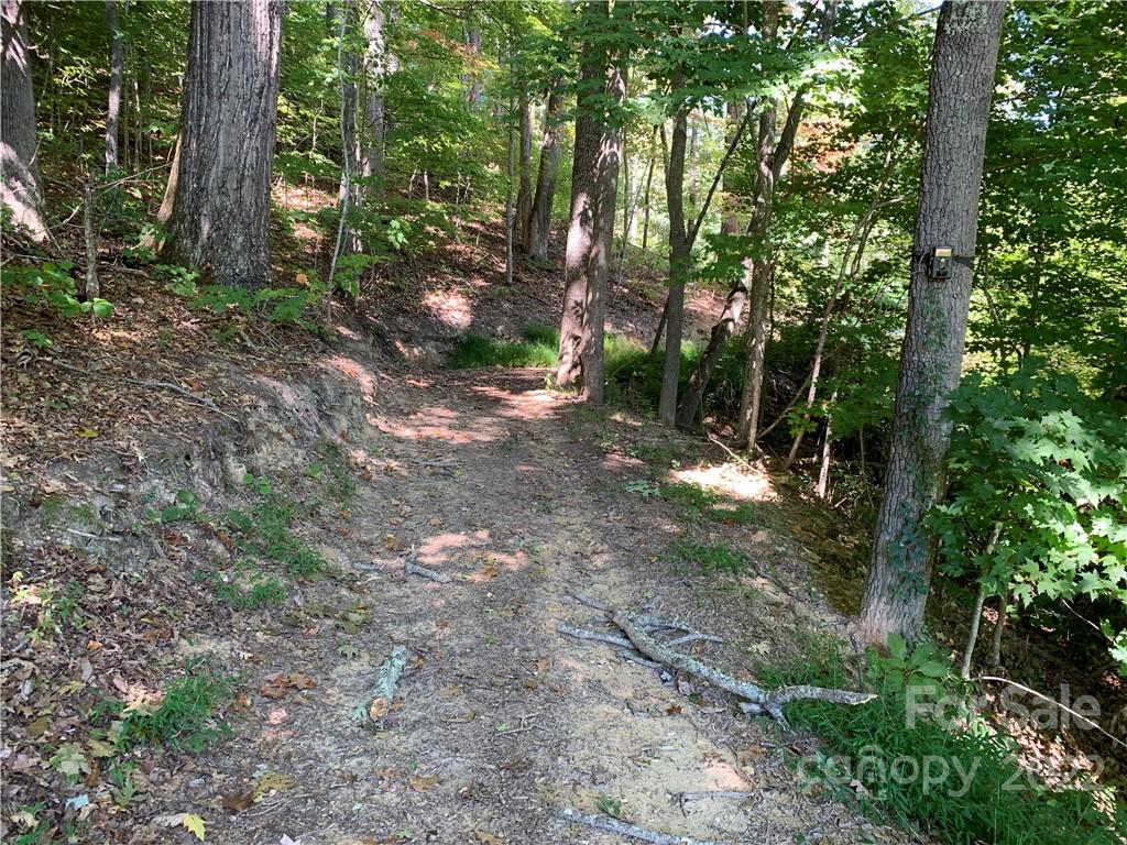 99999 Jerico Ridge Road Fletcher, NC 28732 - Photo 7 of 13 a view of a forest with trees