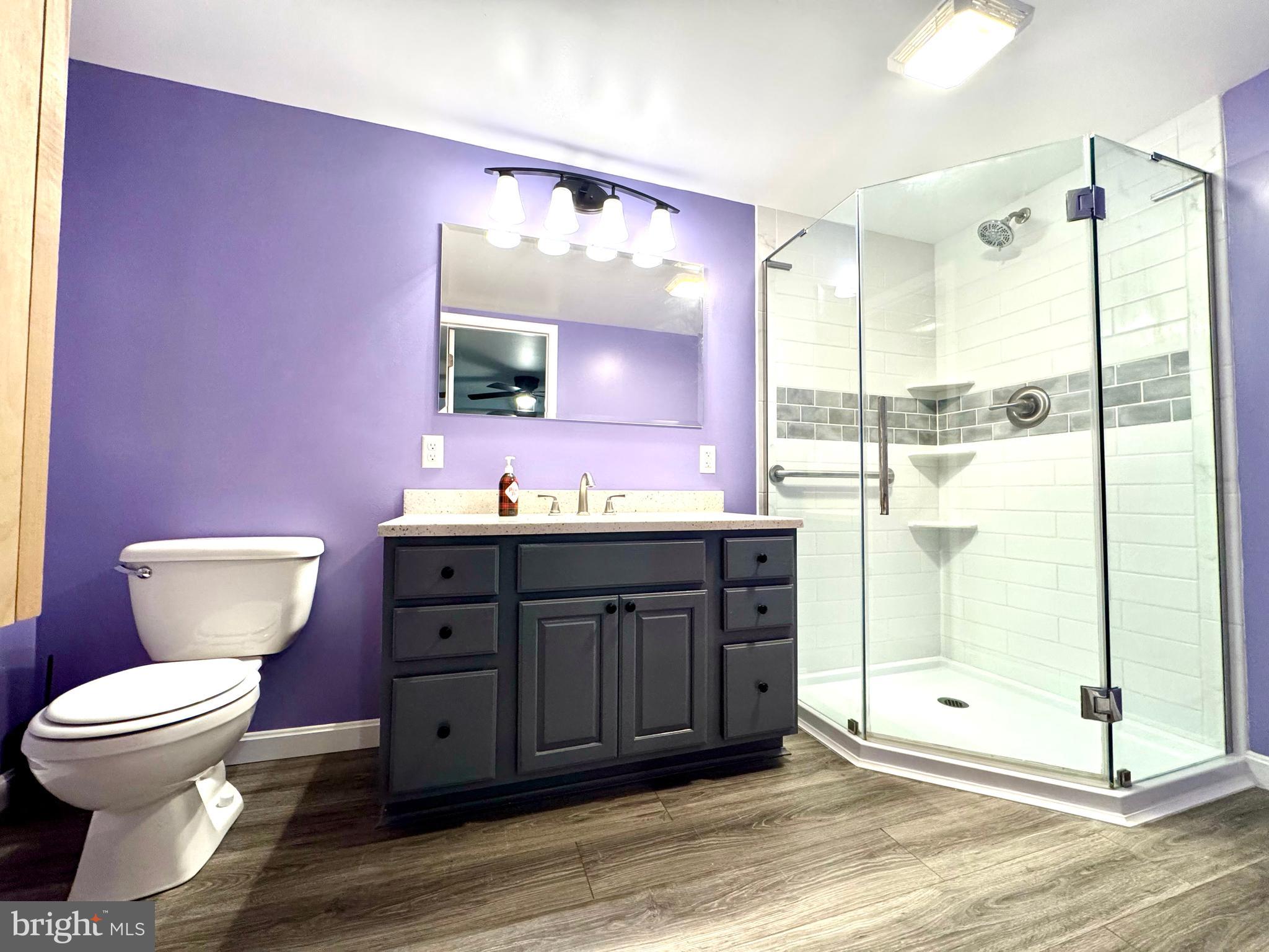 4695 Shelltown Road Marion Station, MD 21838 - Photo 24 of 31 a bathroom with a sink vanity mirror and toilet
