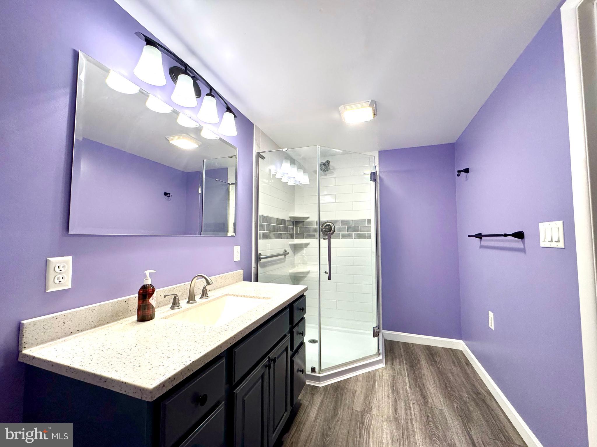 4695 Shelltown Road Marion Station, MD 21838 - Photo 25 of 31 a bathroom with a sink a vanity and a mirror