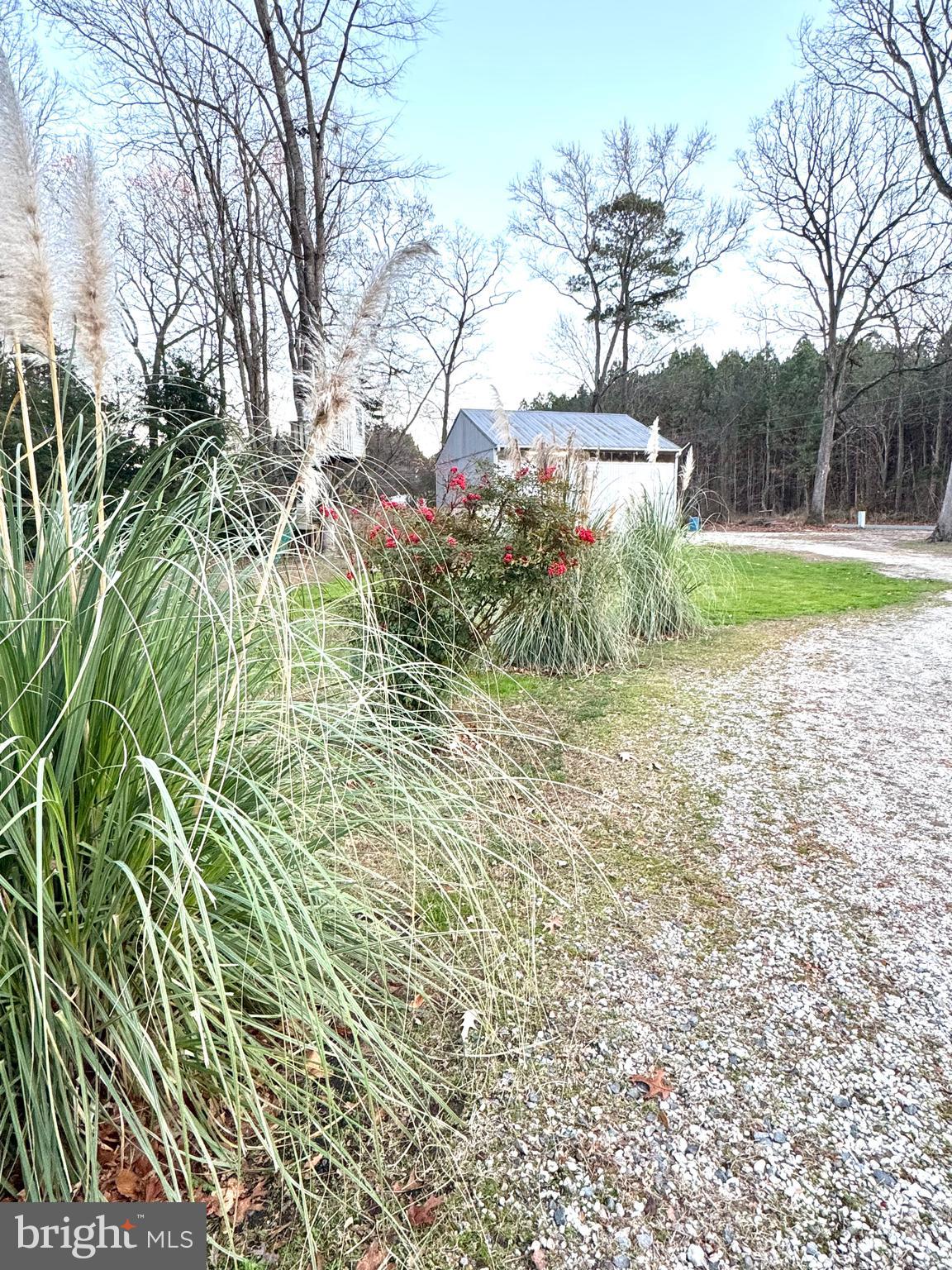 4695 Shelltown Road Marion Station, MD 21838 - Photo 31 of 31 a view of a yard with plants and trees