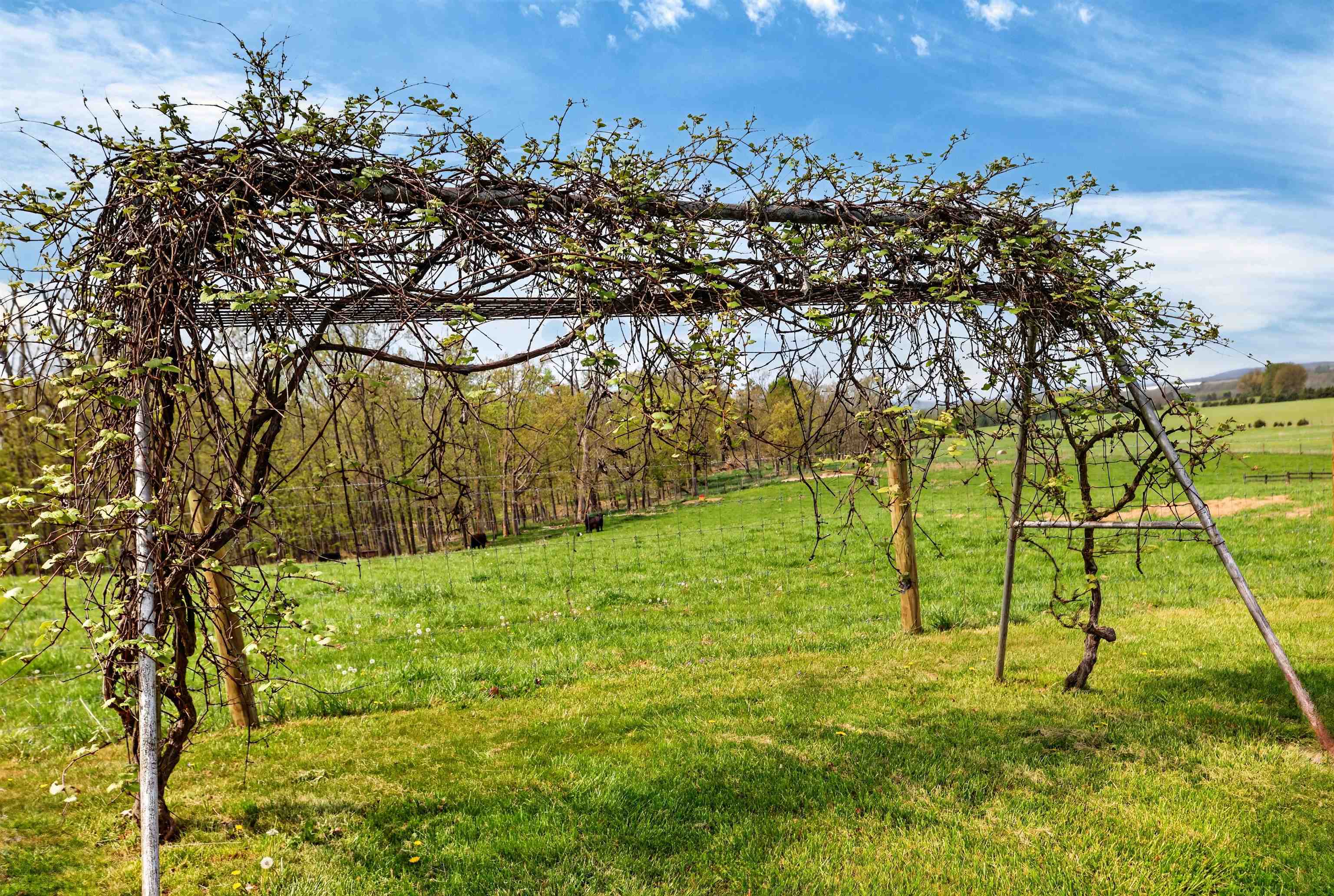 1522 Dam Town Road Fort Defiance, VA 24437 - Photo 16 of 61