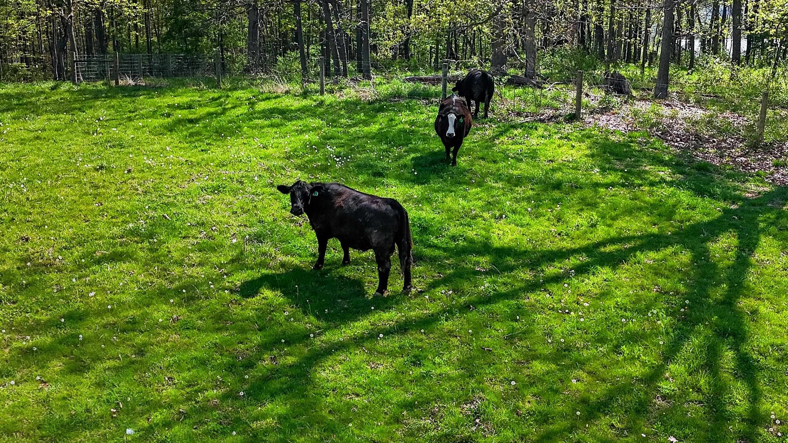 1522 Dam Town Road Fort Defiance, VA 24437 - Photo 22 of 61