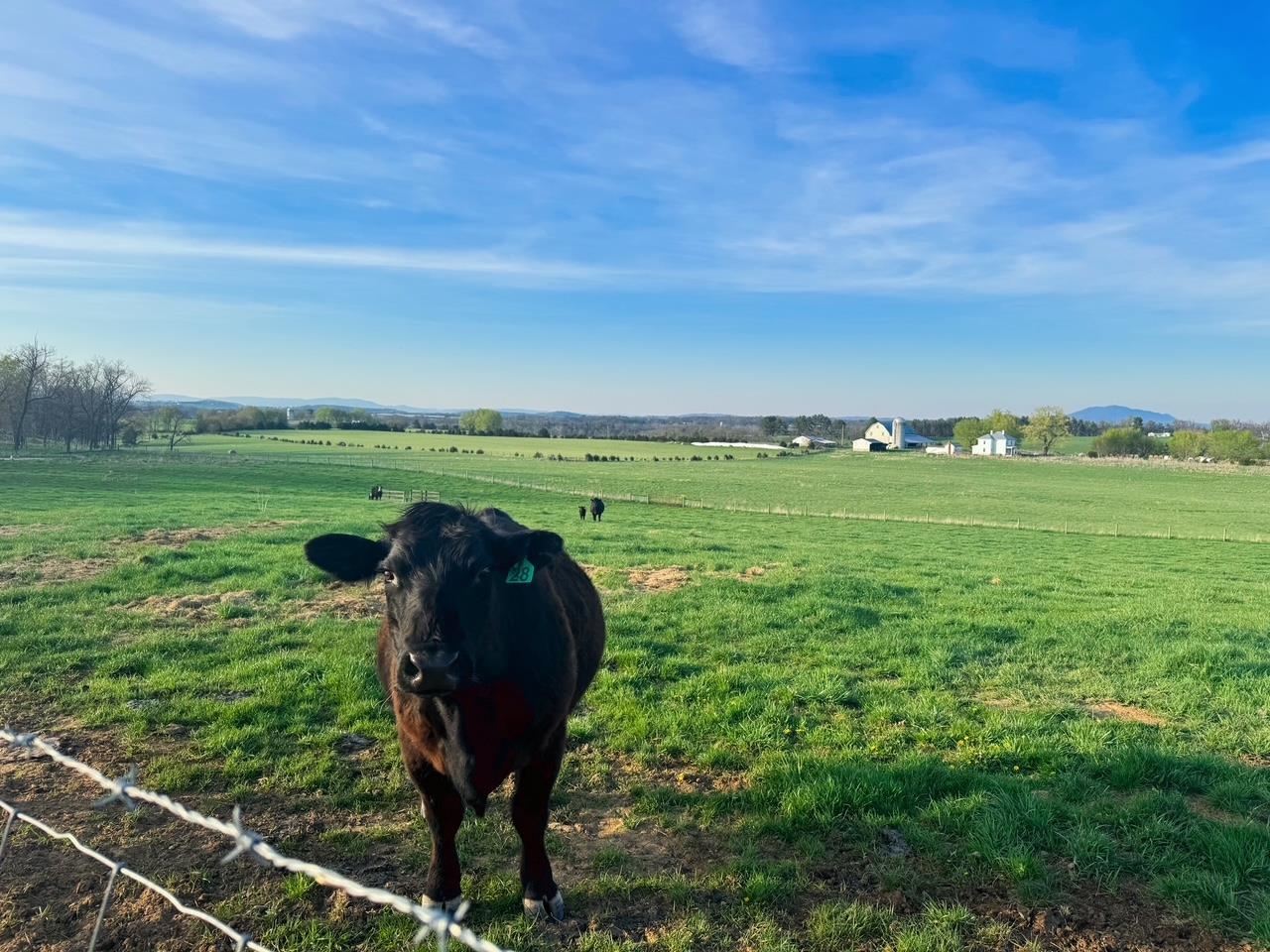 1522 Dam Town Road Fort Defiance, VA 24437 - Photo 27 of 61
