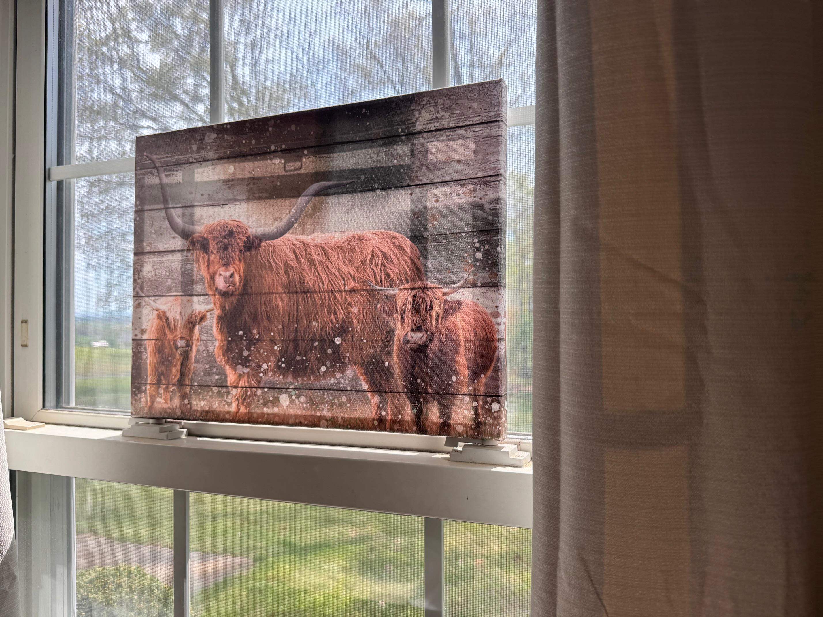 1522 Dam Town Road Fort Defiance, VA 24437 - Photo 50 of 61