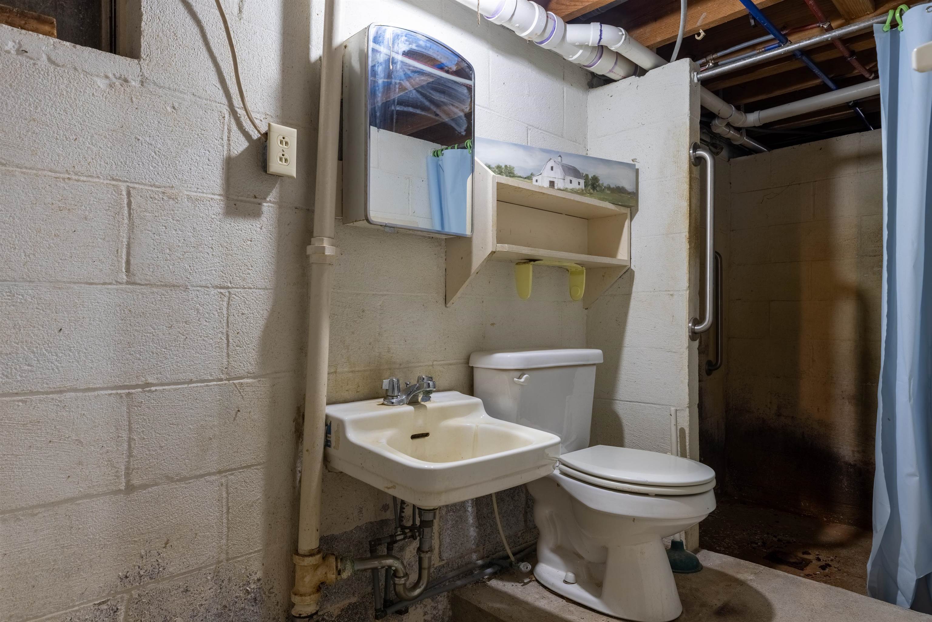 1522 Dam Town Road Fort Defiance, VA 24437 - Photo 59 of 61 Farmers Full BA in Basement