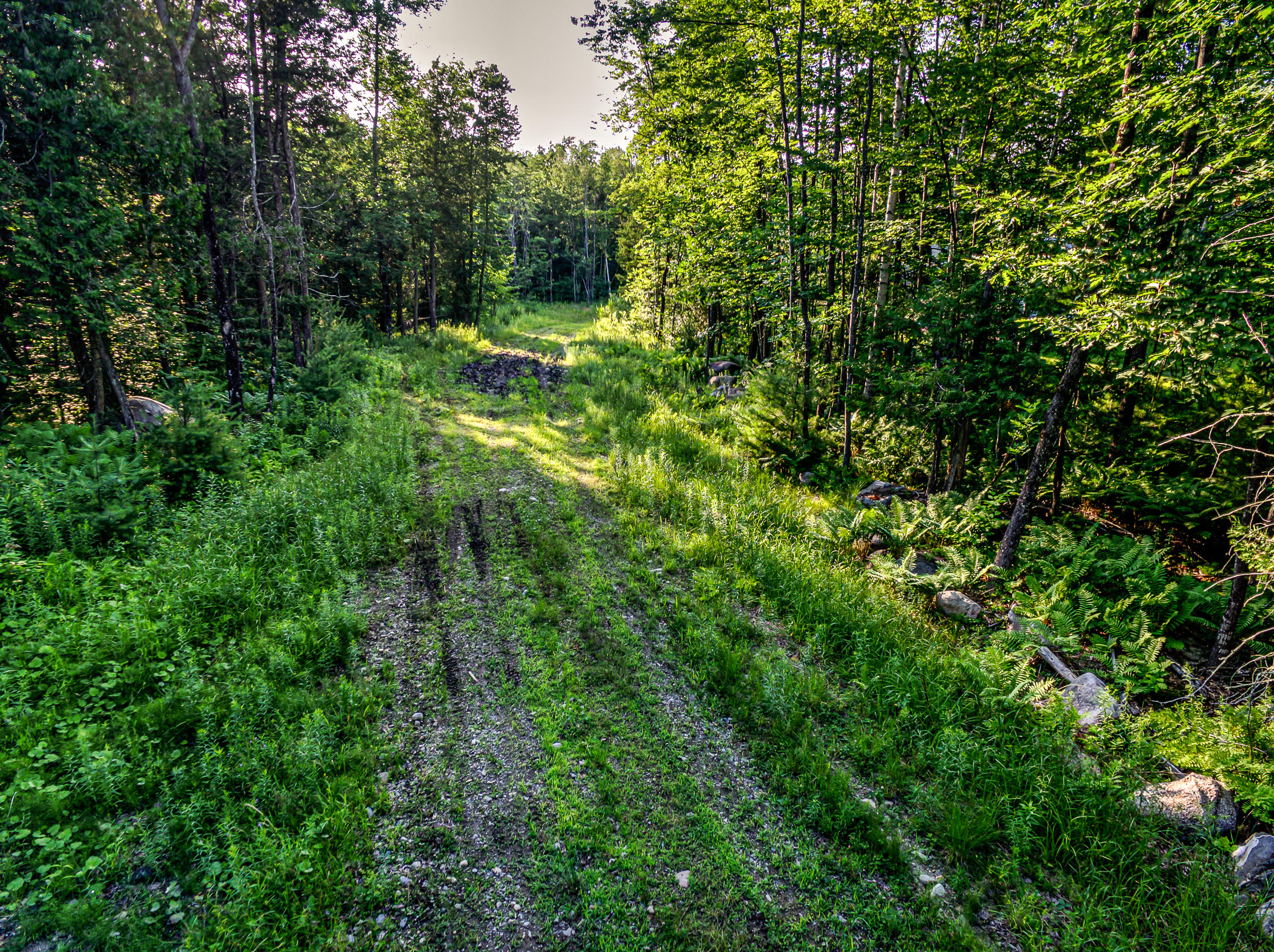 Tbd Snow Pond Road Oakland, ME 04963 - Photo 9 of 12 108024-15