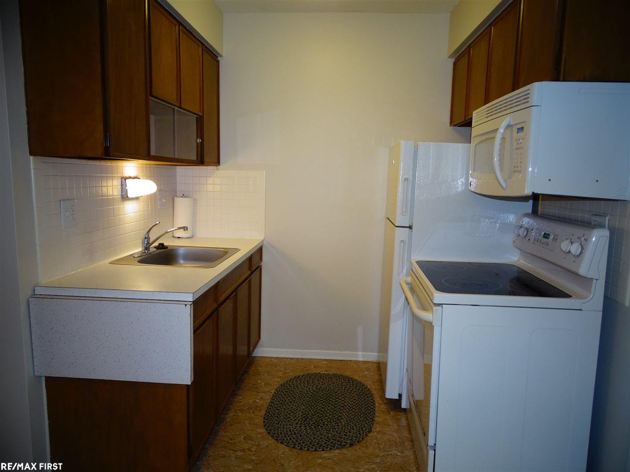 417 Prospect Street, Unit 209 Romeo, MI 48065 - Photo 8 of 17