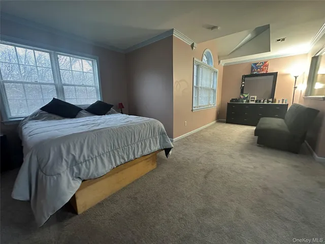 a view of a big yard with large trees