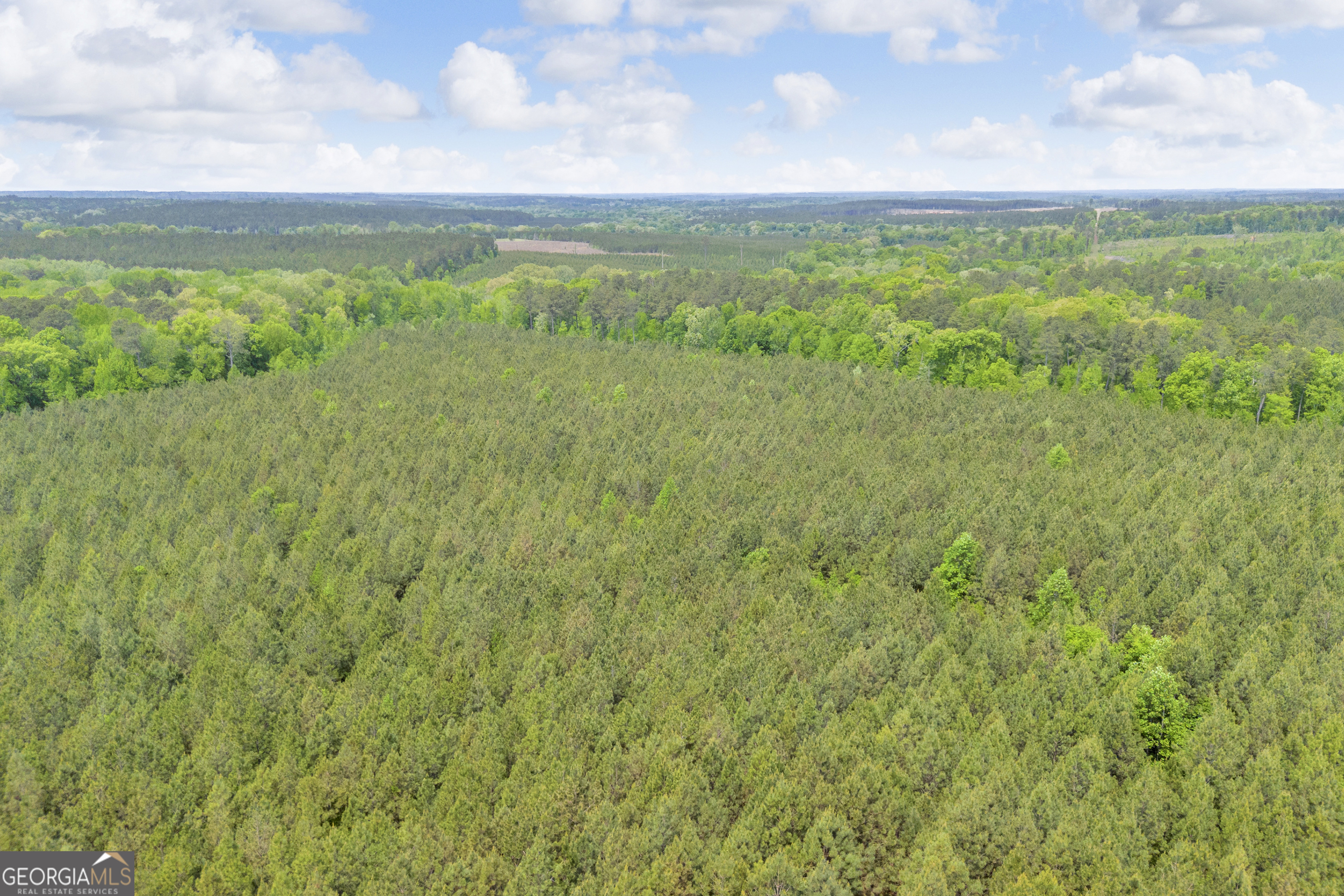 0 Upper Mill Road Northeast Crawfordville, GA 30631 - Photo 18 of 29 a view of an ocean
