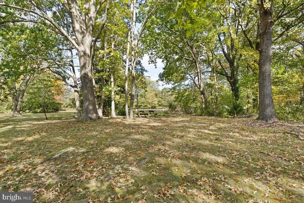 a view of a yard with trees