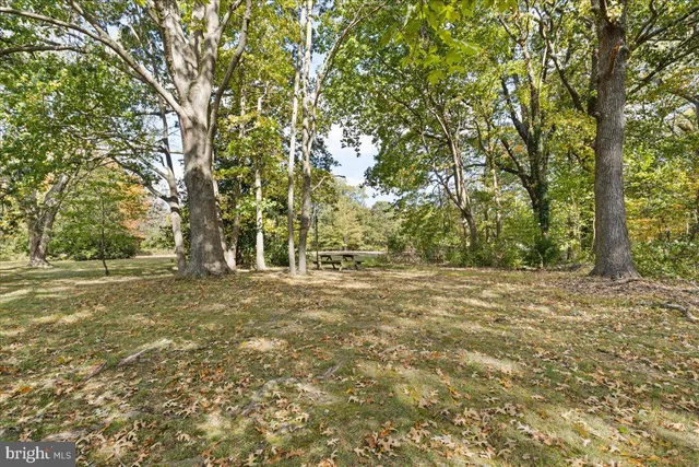 a view of a yard with trees
