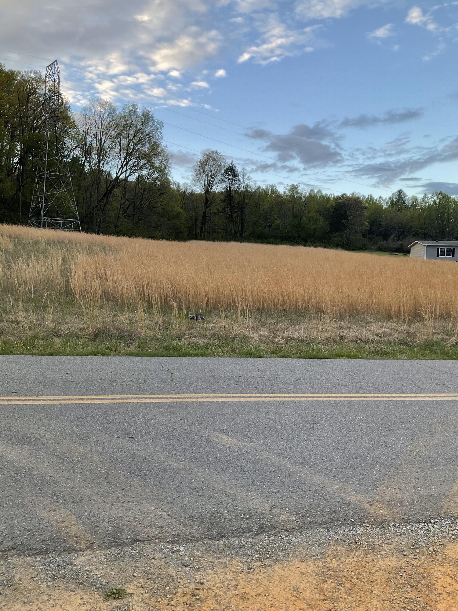 Lot 6 Baileyton Road, Unit 6 Greeneville, TN 37745 - Photo 3 of 7 IMG_0577 (1)