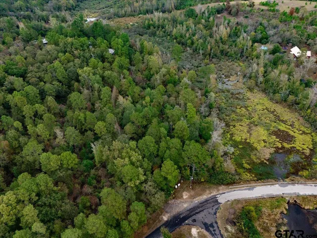 an aerial view of a house with a lake view