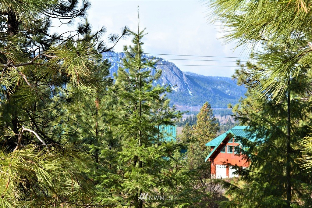 1 Owl Ridge Cle Elum, WA 98922 - Photo 4 of 14 Gallery Image 4