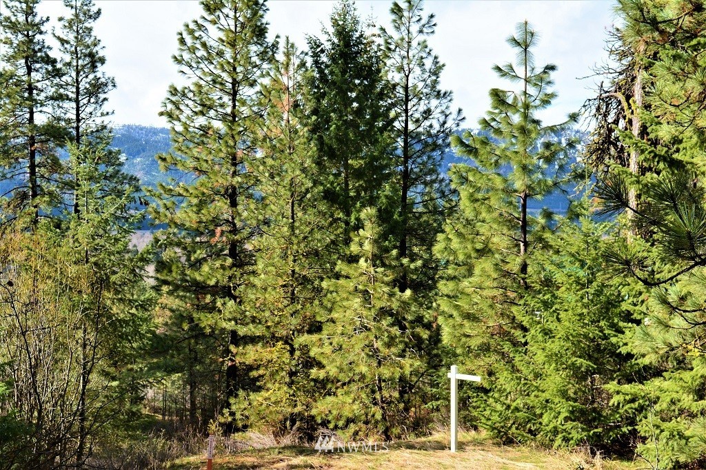 1 Owl Ridge Cle Elum, WA 98922 - Photo 5 of 14 Gallery Image 5