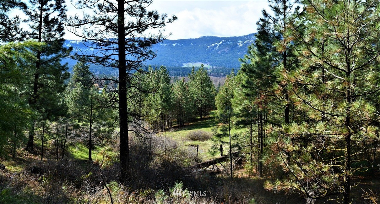 1 Owl Ridge Cle Elum, WA 98922 - Photo 6 of 14 Gallery Image 6