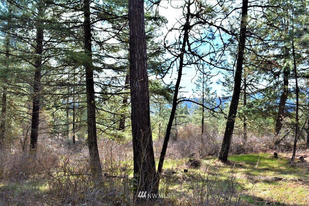1 Owl Ridge Cle Elum, WA 98922 - Photo 9 of 14 Gallery Image 9