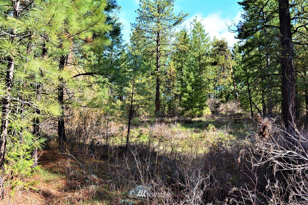1 Owl Ridge Cle Elum, WA 98922 - Photo 10 of 14 Gallery Image 10