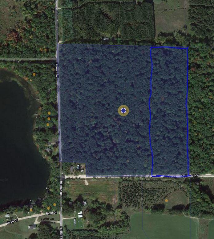 West Cutler Road Six Lakes, MI 48886 - Photo 10 of 10 10 Acres