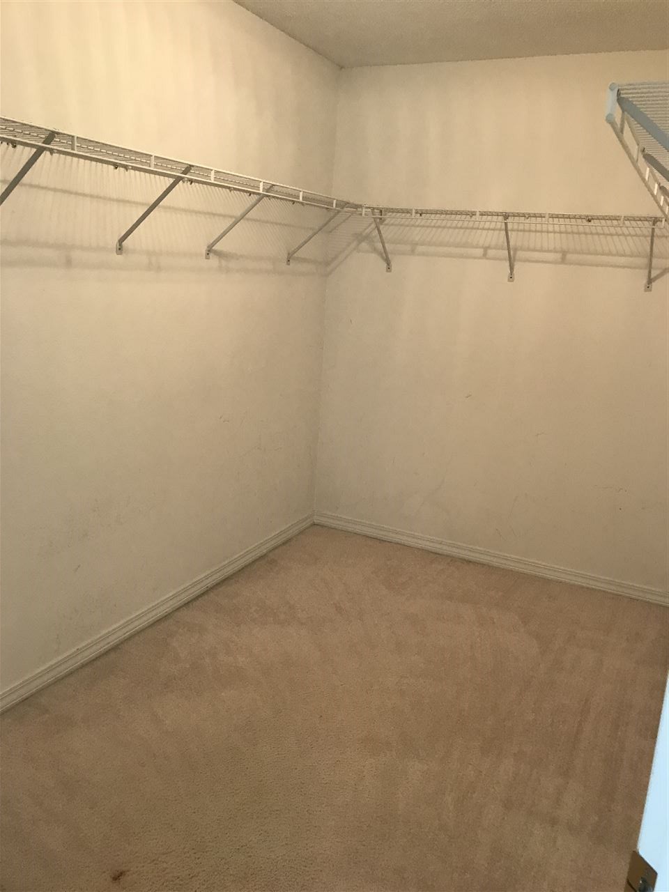 23306 Cornerstone Drive Loxley, AL 36551 - Photo 13 of 16 MASTER BEDROOM WALK IN CL